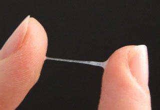 1467600264836107.jpg 宫颈粘液.jpg